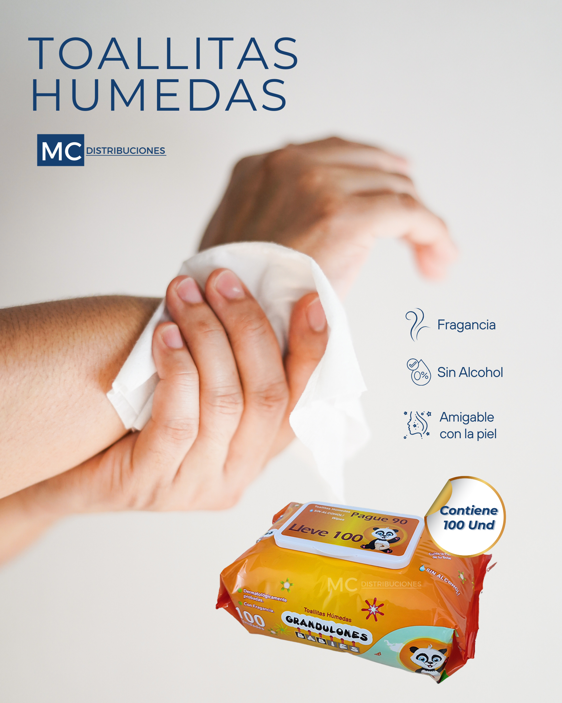 Toallita Húmeda x100